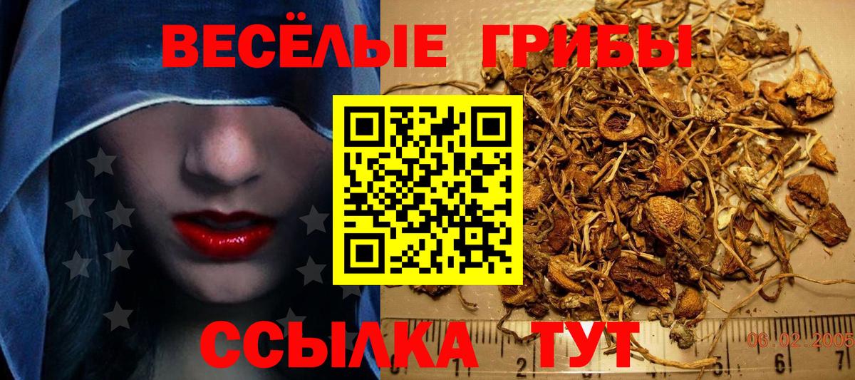 Псилоцибиновые грибы GOLDEN TEACHER Заречный