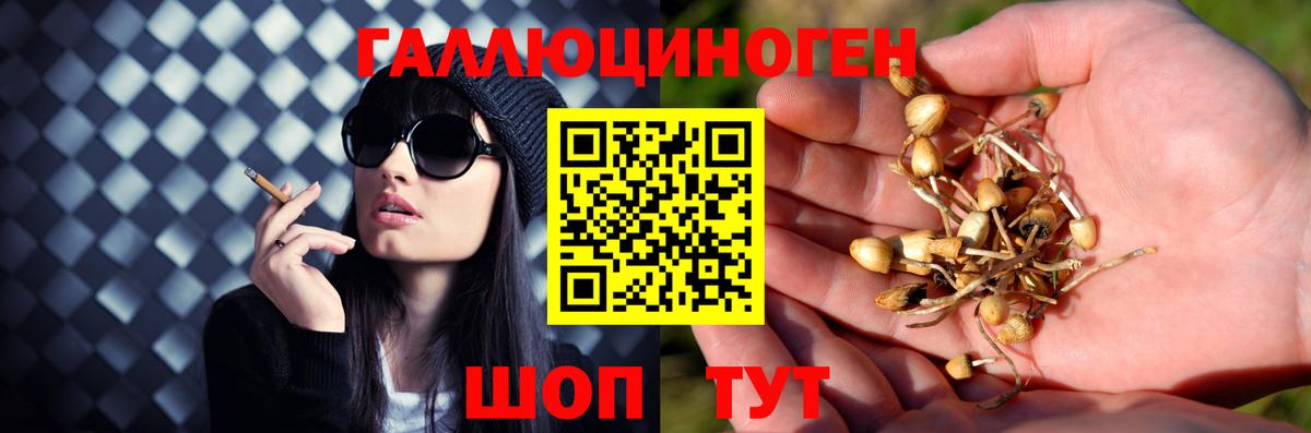 Галлюциногенные грибы ЛСД  Псилоцибиновые грибы мицелий  Заречный  Вход с VPN 